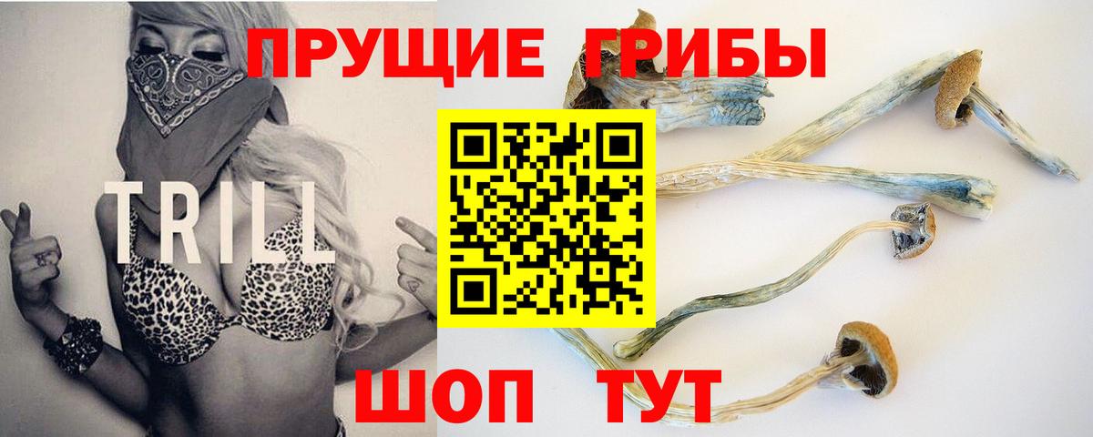 Галлюциногенные грибы Psilocybine cubensis Новороссийск